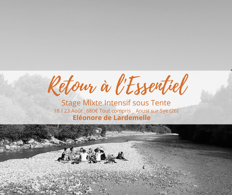 Stage Retour Essentiel Soin Energetique Eléonore de Lardemelle