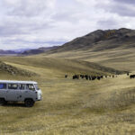 Soins Energétiques Chant Vibratoire Mongolie Bivouac