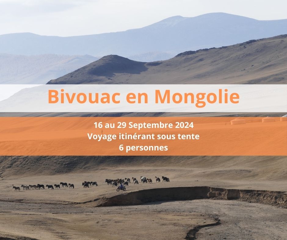 Eleonore de Lardemelle Restons Chelous Bivouac Mongolie Soin Energétique