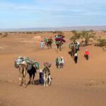 Eleonore de Lardemelle Restons Chelous Soin Energetique Chant Vibratoire Trek Desert Maroc