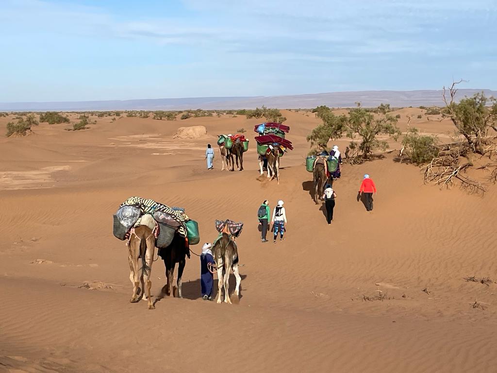Eleonore de Lardemelle Restons Chelous Soin Energetique Chant Vibratoire Trek Desert Maroc