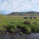 Eléonore de Lardemelle Restons Chelous Soin Energétique Chant Vibratoire Mongolie Bivouac Séjour Initiatique